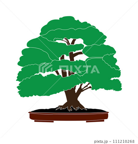 Bonsai icon Bonsai icon 111210268