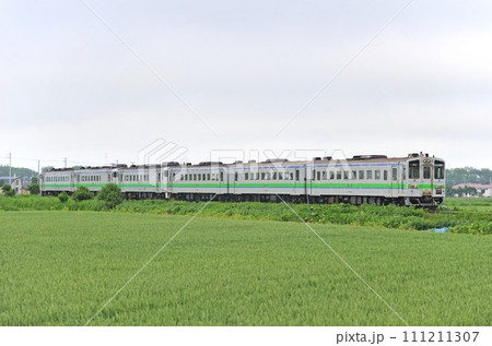 札沼線　石狩太美ーあいの里公園　JR北海道　キハ143-153（苗穂） 111211307