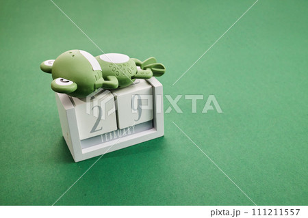 Leap day. Concept for date 29 month February 111211557