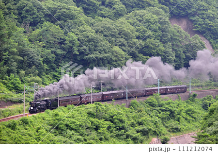 上越線　上牧ー水上　JR東日本　D51-498＋旧客（高崎）　SLググっとぐんま 111212074