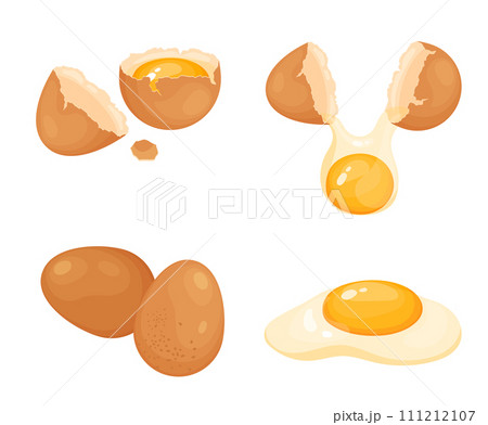 Set of chicken eggs in whole and broken condition. 111212107