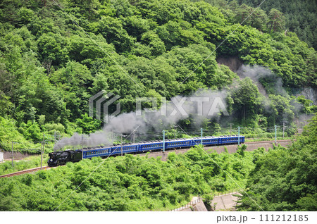上越線　上牧ー水上　JR東日本　D51-498＋12系（高崎）　SLみなかみ 111212185