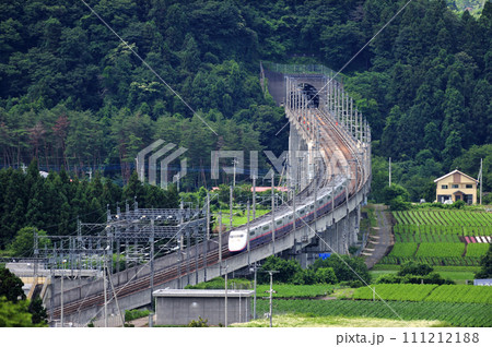 上越新幹線　上毛高原ー高崎　JR東日本　E1系（新潟）　Maxとき　Maxたにがわ 111212188