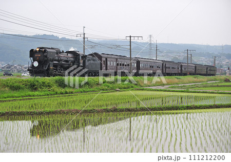高崎線 渋川ー八木原 JR東日本 D51-498+旧客(高崎) SLググっとぐんま 高崎線 渋川ー八木原 JR東日本 D51-498+旧客(高崎) SLググっとぐんま 111212200