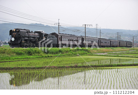 高崎線　渋川ー八木原　JR東日本　D51-498＋旧客（高崎）　SLググっとぐんま 111212204