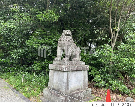 和歌山県和歌山市の神社、竈山神社の狛犬、右側の阿です。 111212405