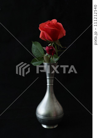 黒背景の錫製花器に活けた赤い薔薇 黒背景の錫製花器に活けた赤い薔薇 111212540