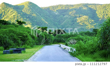 沖縄県慶良間諸島阿嘉島の朝の道路 沖縄県慶良間諸島阿嘉島の朝の道路 111212797