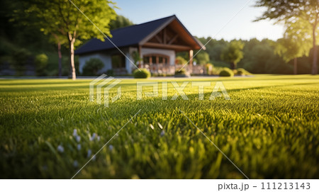 AI-generated content. The golden sunlight of the evening casting a warm glow on the velvety grass of a spacious backyard 111213143