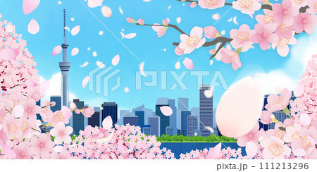 桜咲く、青空と桜のある街並み 桜咲く、青空と桜のある街並み 111213296