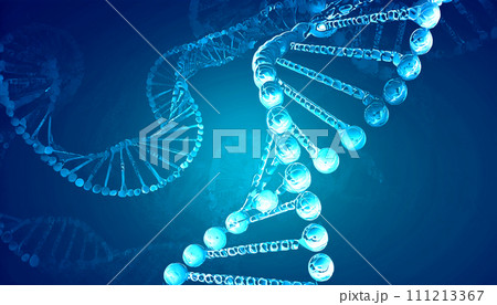 抽象的な遺伝子配列の背景 111213367