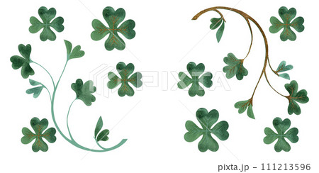 Set of clover branches. Shamrock. Symbol of Ireland. Decor for St. Patrick's Day. Vintage. Isolated watercolor illustration on white background. Clipart. 111213596