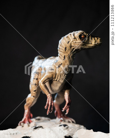 Velociraptor dinosaur in the dark Velociraptor dinosaur in the dark 111213866