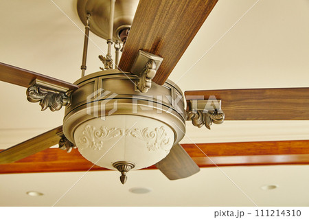 Elegant Traditional Ceiling Fan with Decorative Elements, Upward View 111214310