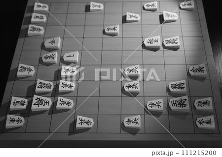将棋(73期王将戦第3局投了棋譜) 将棋(73期王将戦第3局投了棋譜) 111215200