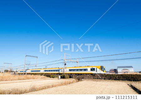 【近鉄奈良線】大極門跡を通過する特急列車 111215311