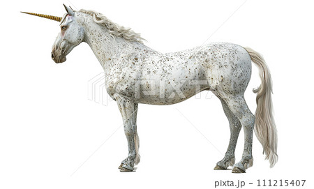 ユニコーンのイメージ - image of Unicorn - No4-10 -  111215407