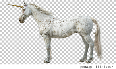ユニコーンのイメージ - image of Unicorn - No4-10 -  111215407