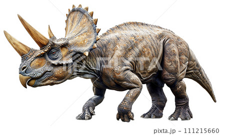 トリケラトプスのイメージ - image of Triceratops - No6-5-  111215660