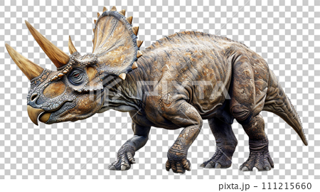 トリケラトプスのイメージ - image of Triceratops - No6-5-  111215660
