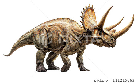 トリケラトプスのイメージ - image of Triceratops - No6-6-  111215663