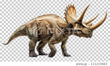 トリケラトプスのイメージ - image of Triceratops - No6-6-  111215663