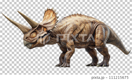 三角龍的圖像 - No6-11- 111215675