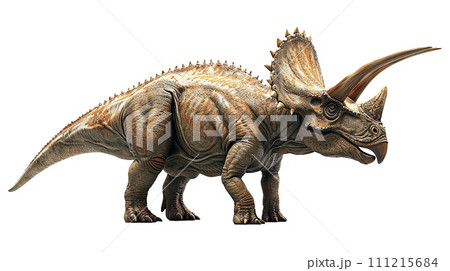 トリケラトプスのイメージ - image of Triceratops - No6-2-  111215684