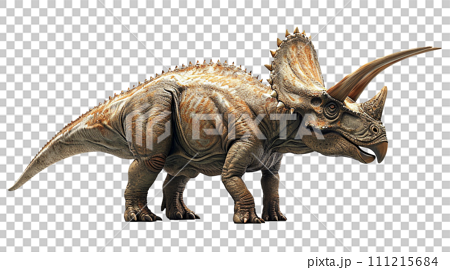 トリケラトプスのイメージ - image of Triceratops - No6-2-  111215684