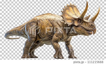 Image of Triceratops - No6-4- 111215688