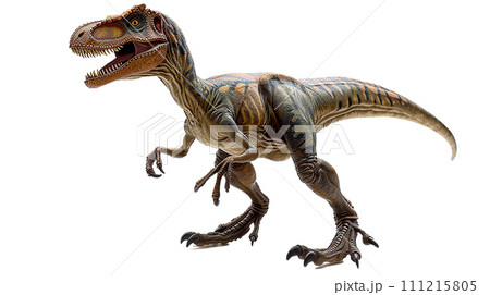 ヴェロキラプトルのイメージ image of Velociraptor No6-8 ヴェロキラプトルのイメージ image of Velociraptor No6-8 111215805