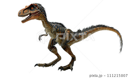 ヴェロキラプトルのイメージ image of Velociraptor No6-9 ヴェロキラプトルのイメージ image of Velociraptor No6-9 111215807