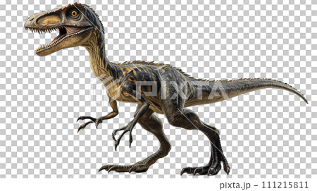 ヴェロキラプトルのイメージ image of Velociraptor No6-11 111215811