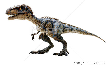 ヴェロキラプトルのイメージ image of Velociraptor No6-18 111215825