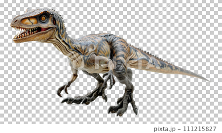 迅猛龍 No6-19 的圖像 迅猛龍 No6-19 的圖像 111215827