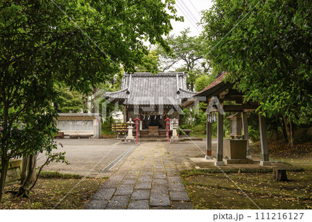 新緑に包まれた神社の境内 新緑に包まれた神社の境内 111216127