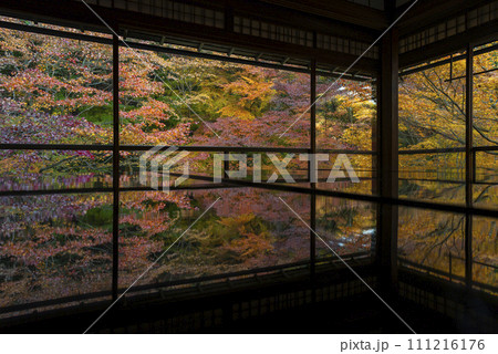 瑠璃光院 瑠璃光院 111216176