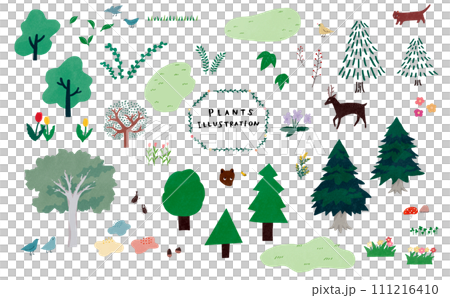 Set of hand drawn illustrations of plants 111216410