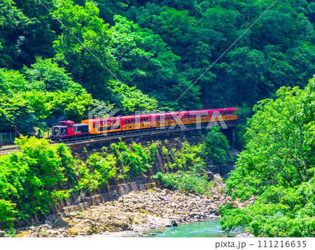 新緑の保津峡とトロッコ列車 新緑の保津峡とトロッコ列車 111216635