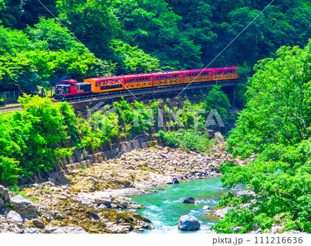 新緑の保津峡とトロッコ列車 111216636