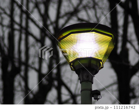 冬の森にあるレトロな街灯 111216742