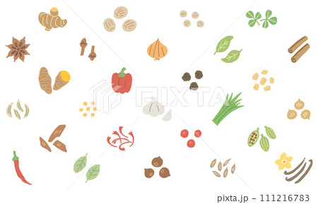 27種類の香辛料のイラスト（名称なし） 111216783