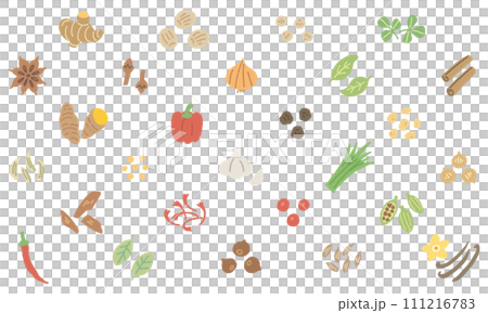 27種類の香辛料のイラスト（名称なし） 111216783
