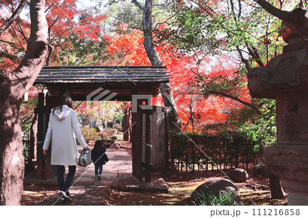 旧朝倉家住宅 111216858