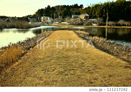 冬の大百池公園 111217292