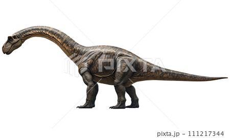 ディプロドクスのイメージ  image of Diplodocus No4-2 111217344