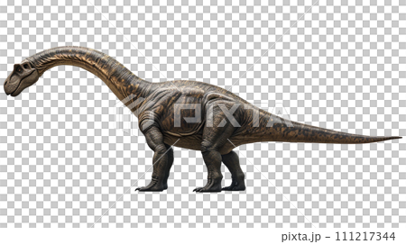 ディプロドクスのイメージ  image of Diplodocus No4-2 111217344