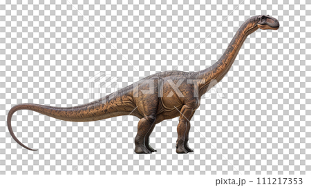 梁龍 No4-11 的圖像 梁龍 No4-11 的圖像 111217353