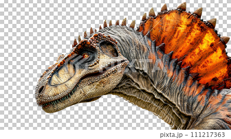 スピノサウルスのイメージ image of Spinosaurus No4-8の