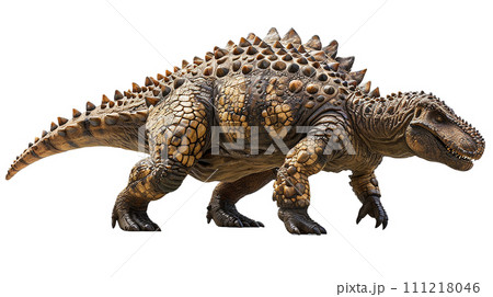 アンキロサウルスのイメージ　image of Ankylosaurus No3-2 111218046